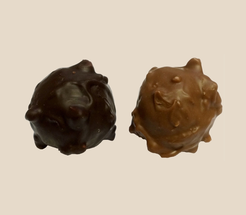 Rochers assortis chocolat noir et lait fourrés praliné - Sachet 250g -  Chocogil – boutique de chocolats en ligne
